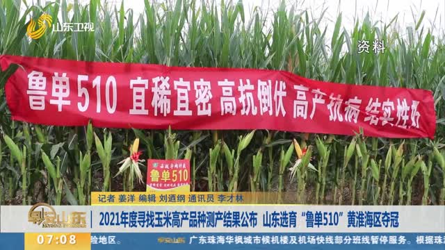 2021年度寻找玉米高产品种测产结果公布 山东选育“鲁单510”黄淮海区夺冠