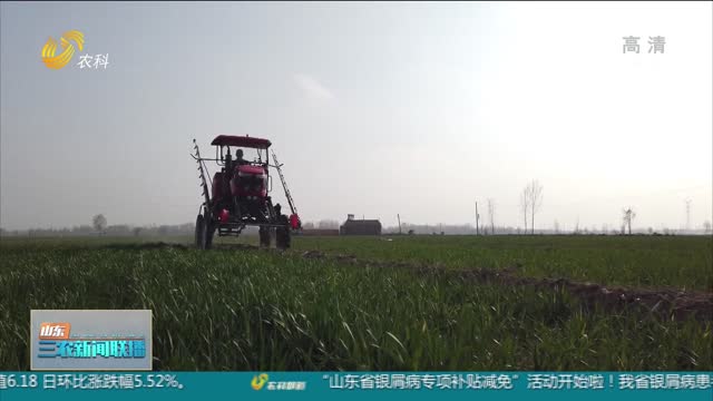 【保障国家粮食安全】农业农村部启动冬小麦“科技壮苗”专项行动