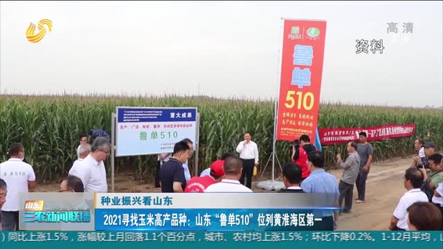 【种业振兴看山东】2021寻找玉米高产品种：山东“鲁单510”位列黄淮海区第一