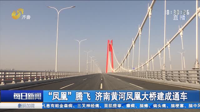 “鳳凰”騰飛 濟南黃河鳳凰大橋建成通車