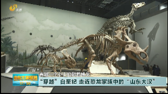 “穿越”白垩纪 走近恐龙家族中的“山东大汉”