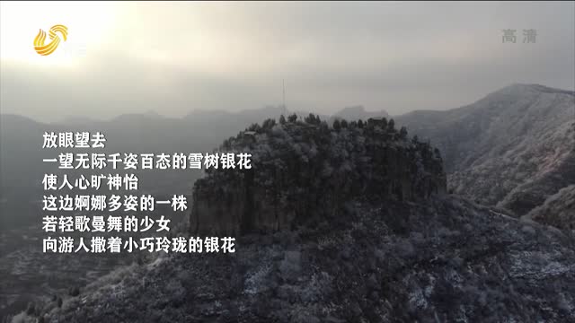青州：仰天山出现雾凇景观 冰雪世界美不胜收