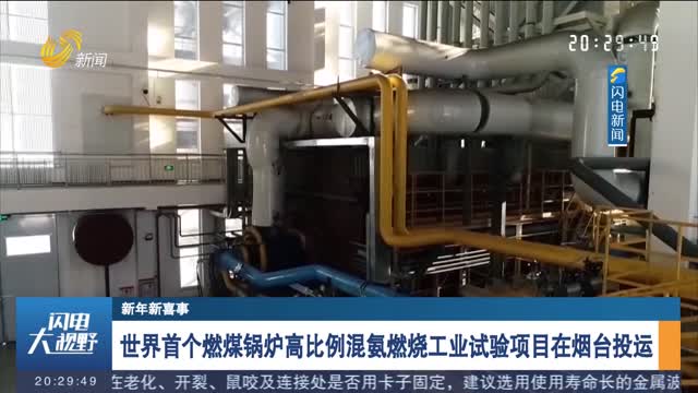 【新年新喜事】世界首个燃煤锅炉高比例混氨燃烧工业试验项目在烟台投运