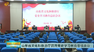 山东省文化和旅游厅召开党史学习教育总结会议