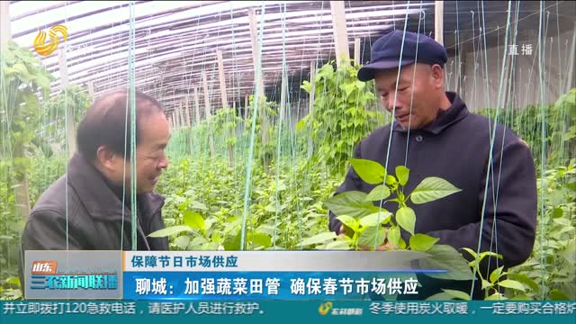【保障节日市场供应】聊城：加强蔬菜田管 确保春节市场供应