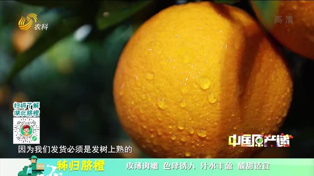 20220123《中国原产递》：秭归脐橙