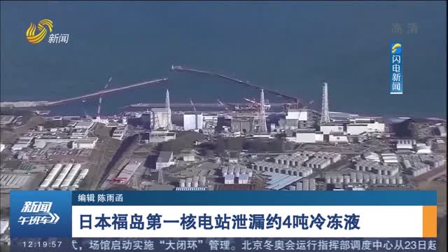 日本福岛第一核电站泄漏约4吨冷冻液