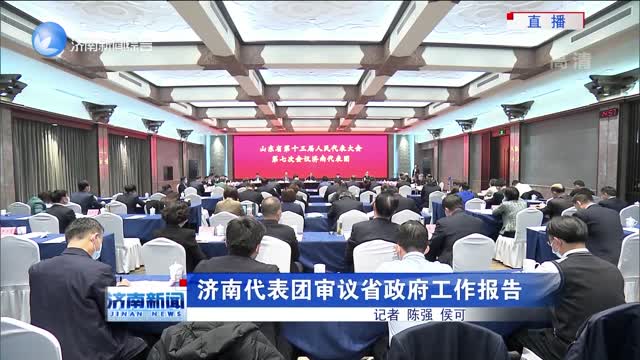济南代表团审议省政府工作报告