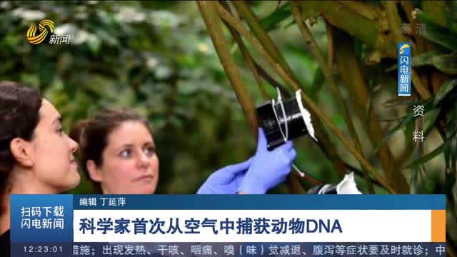科学家首次从空气中捕获动物DNA