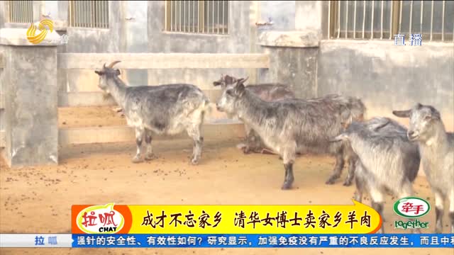 菏泽成武：清华女博士助力乡村振兴 家乡羊肉卖进北京