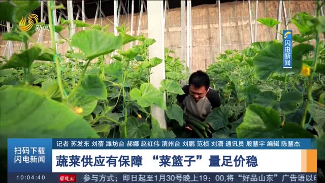 【虎跃齐鲁万象新】蔬菜供应有保障 “菜篮子”量足价稳