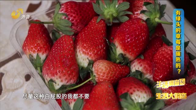 2022年01月31日《生活大调查》：有绿头的草莓是催熟的？