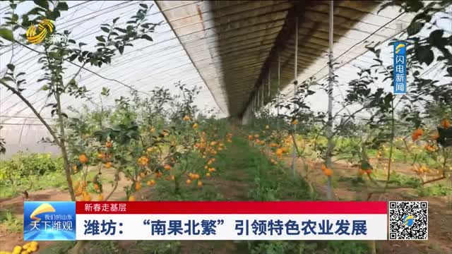 【新春走基层】潍坊：“南果北繁”引领特色农业发展