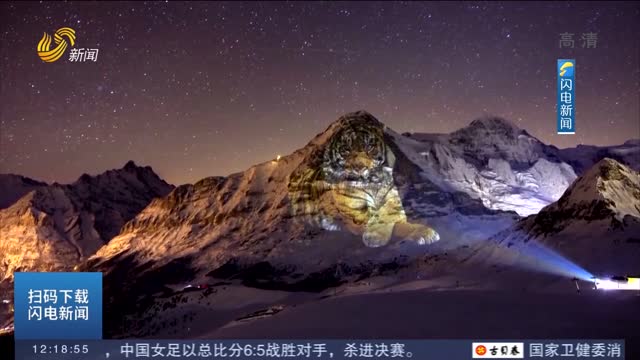 高山变“卧虎” 瑞士艺术家花样庆祝中国虎年