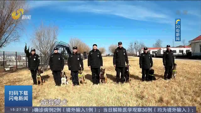 【新春走基层】33头警犬的训练秘籍