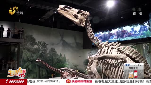 文化过年新选择 博物馆里看恐龙