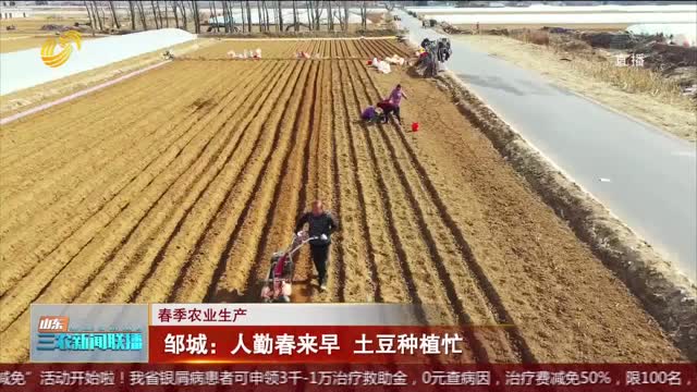【春季农业生产】邹城：人勤春来早 土豆种植忙