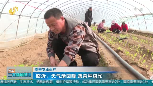 【春季农业生产】临沂：天气渐回暖 蔬菜种植忙
