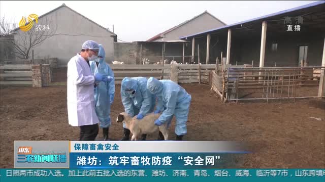 【保障畜禽安全】潍坊：筑牢畜牧防疫“安全网”