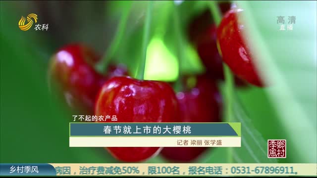 【了不起的农产品】春节就上市的大樱桃
