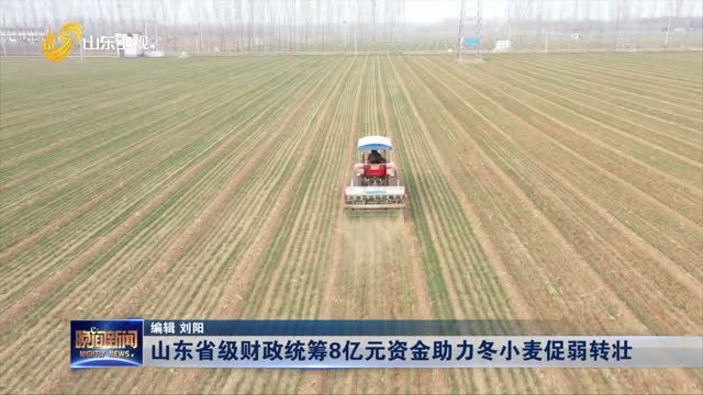 山东省级财政统筹8亿元资金助力冬小麦促弱转壮