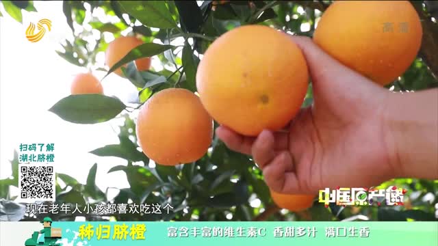 20220218《中国原产递》：秭归脐橙
