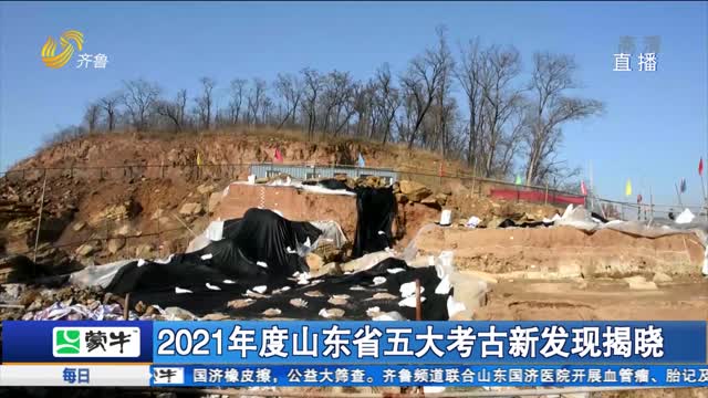 2021年度山东省五大考古新发现揭晓