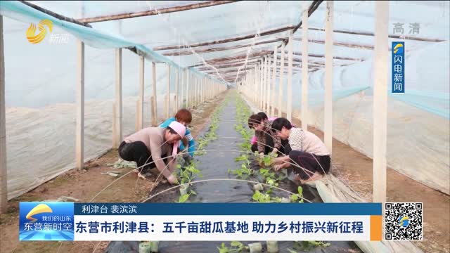 东营市利津县：五千亩甜瓜基地 助力乡村振兴新征程