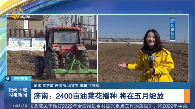 【人勤春来早·闪电连线】济南：2400亩油菜花播种 将在五月绽放