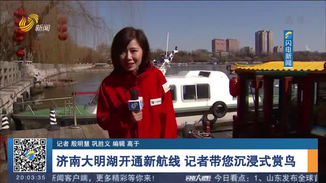 济南大明湖开通新航线 记者带您沉浸式赏鸟