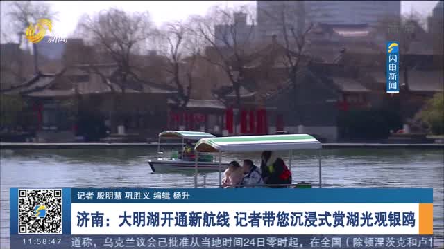 济南：大明湖开通新航线 记者带您沉浸式赏湖光观银鸥