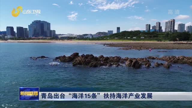 青岛出台“海洋15条”扶持海洋产业发展