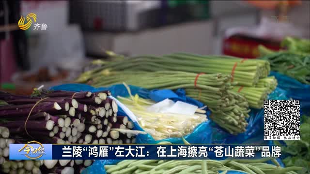 兰陵“鸿雁”左大江：在上海擦亮“苍山蔬菜”品牌