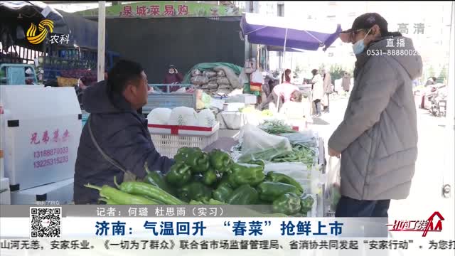 济南：气温回升 “春菜”抢鲜上市