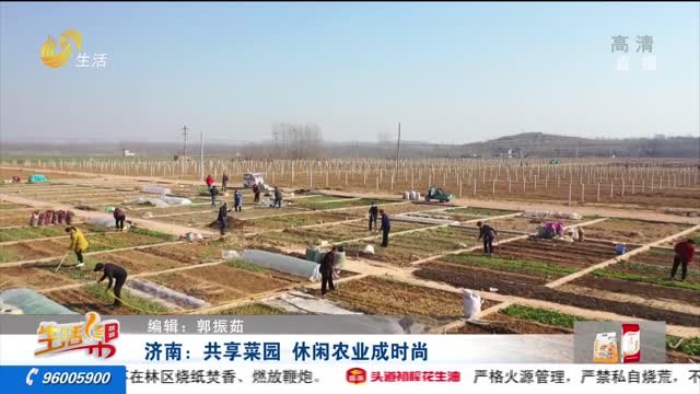 济南：共享菜园 休闲农业成时尚