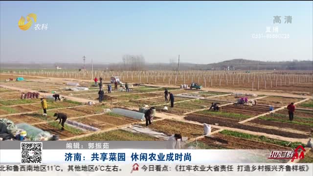 济南：共享菜园 休闲农业成时尚