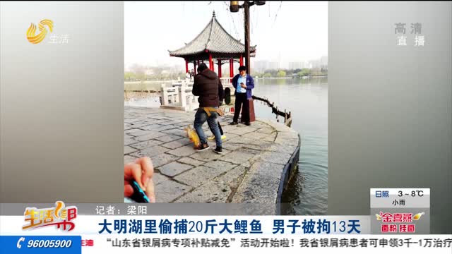 大明湖里偷捕20斤大鲤鱼 男子被拘13天