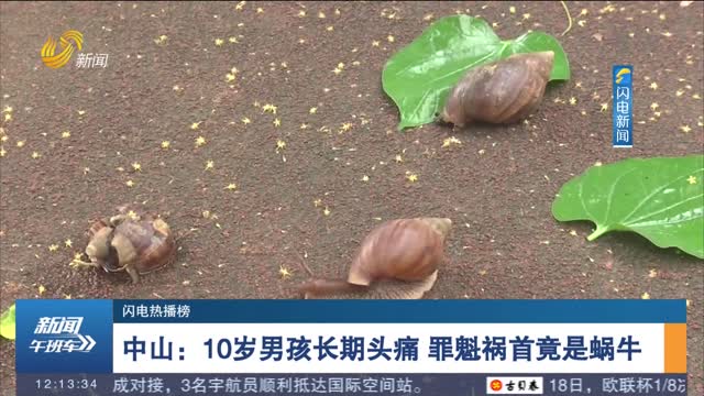 【闪电热播榜】中山：10岁男孩长期头痛 罪魁祸首竟是蜗牛