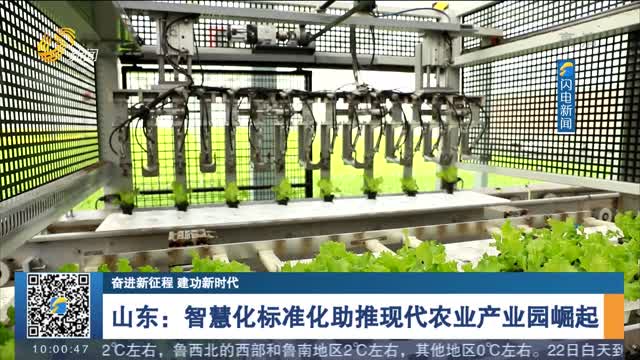 【奋进新征程 建功新时代】山东：智慧化标准化助推现代农业产业园崛起
