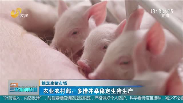【稳定生猪市场】农业农村部：多措并举稳定生猪生产
