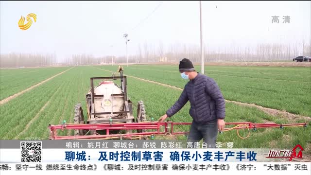 聊城：及时控制草害 确保小麦丰产丰收