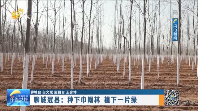 聊城冠县：种下巾帼林 植下一片绿