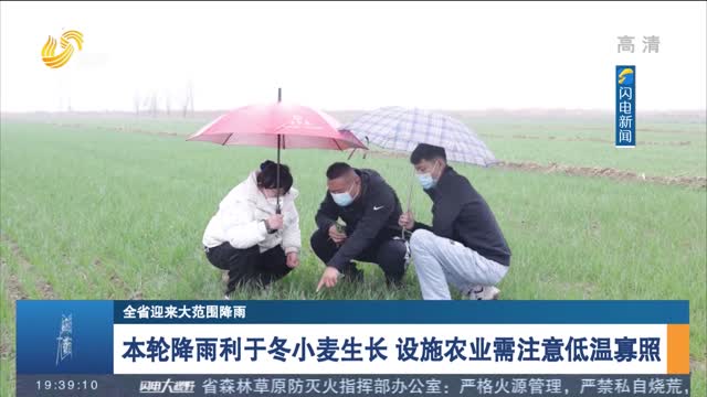 【全省迎来大范围降雨】本轮降雨利于冬小麦生长 设施农业需注意低温寡照