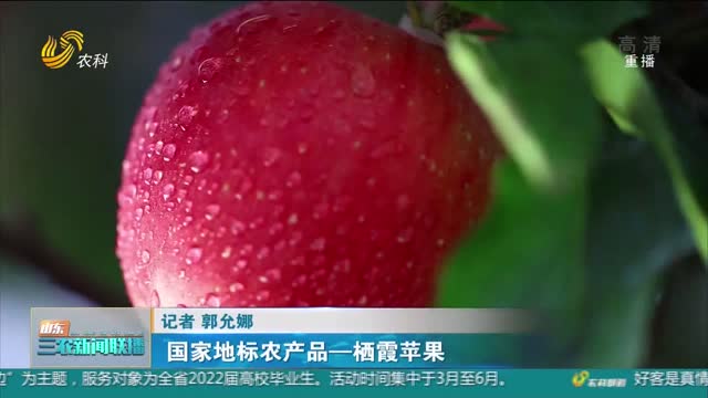 【好品山东】国家地标农产品——栖霞苹果