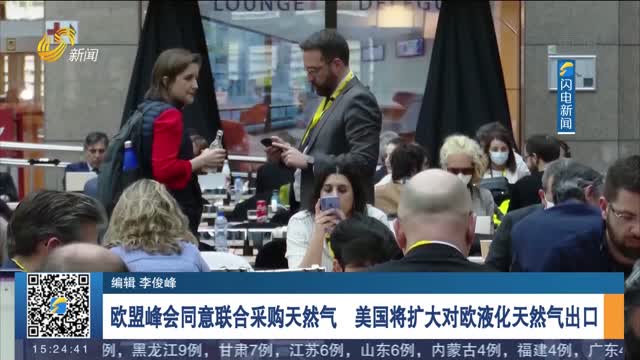欧盟峰会同意联合采购天然气 美国将扩大对欧液化天然气出口