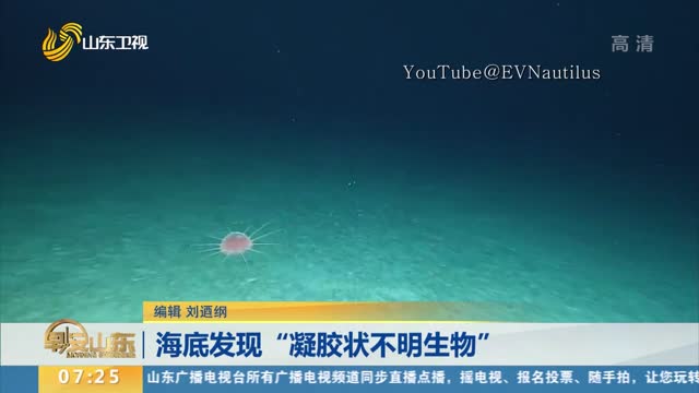 海底发现“凝胶状不明生物 ”
