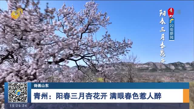 【诗画山东】青州：阳春三月杏花开 满眼春色惹人醉