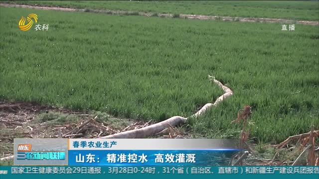 【春季农业生产】山东：精准控水 高效灌溉