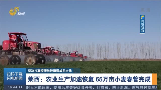 【坚决打赢疫情防控遭遇战阻击战】莱西：农业生产加速恢复 65万亩小麦春管完成