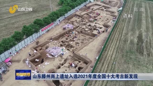 山东滕州岗上遗址入选2021年度全国十大考古新发现